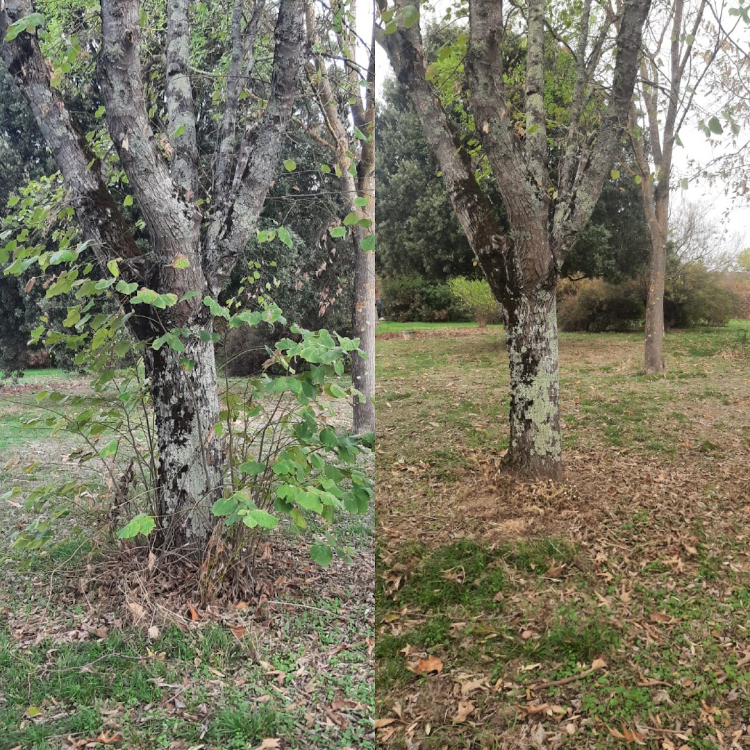 SHT.MULTISERVICES — Photos 8